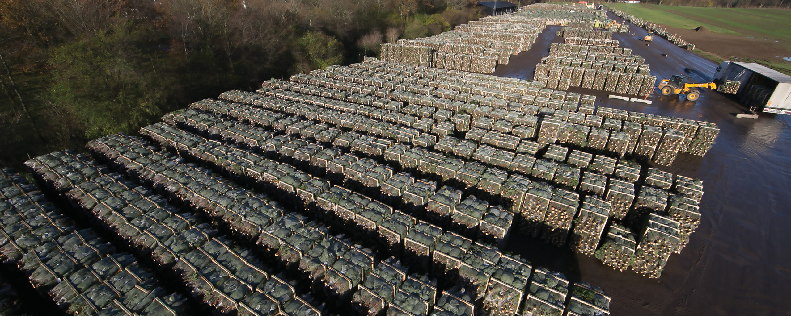 Arbodania stockage saisonnier de palettes pour arbres de Noël